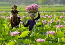 Du lịch miền tây 1 ngày nên đi chơi ở đâu?