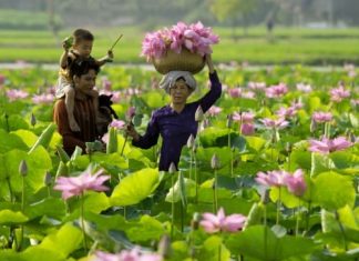 Du lịch miền tây 1 ngày nên đi chơi ở đâu?