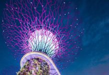 Kinh nghiệm đi Gardens by the Bay Singapore (cập nhật 2021)