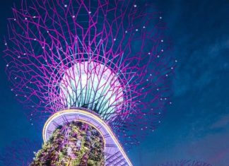 Kinh nghiệm đi Gardens by the Bay Singapore (cập nhật 2021)