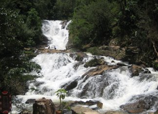 Thác Datanla Đà Lạt: Trải nghiệm trò chơi cảm giác mạnh