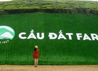Đồi Chè Cầu Đất Đà Lạt: Thông tin địa điểm du lịch 2021