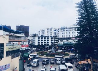 Chợ Đà Lạt – Kinh nghiệm tham quan, mua sắm cho du khách