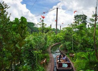 River Safari Singapore: cách mua vé rẻ, kinh nghiệm đi (2021)
