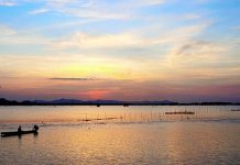 Búng Bình Thiên – điểm trải nghiệm HOT nhất An Giang bung-binh-thien