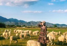 Top #19 địa điểm du lịch Ninh Thuận dân phượt cần đưa ngay vào lịch trình