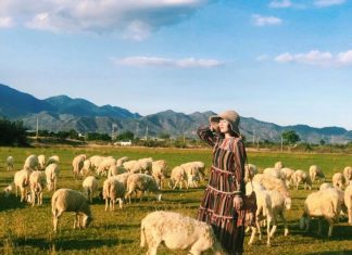 Top #19 địa điểm du lịch Ninh Thuận dân phượt cần đưa ngay vào lịch trình