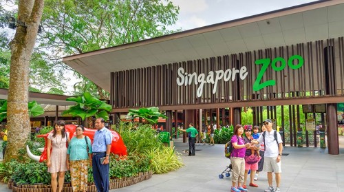 Vé tham quan vườn thú Singapore Zoo